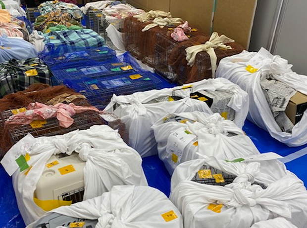 子育てリンク周防大島の写真