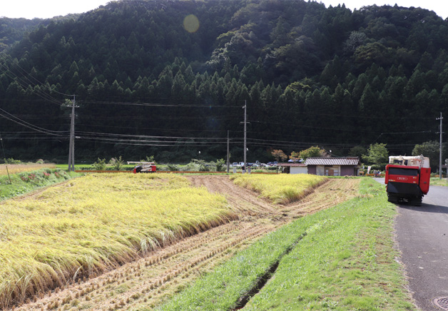 山口県産のコープライス