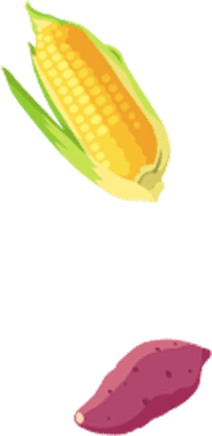 とうもろこし・芋のイラスト