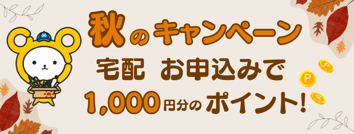 新規 宅配お申込特典