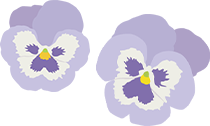 花イラスト