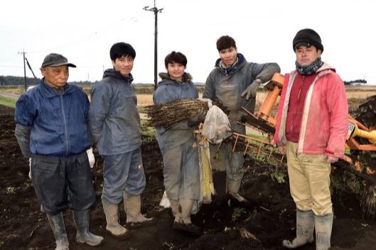 熊本肥後農産出荷組合